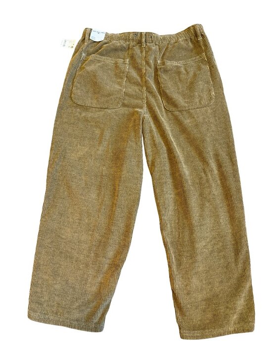 We The Free People Roscoe Pull-On Straight Textured Cotton Pants Size XL NWT - Picture 8 of 15